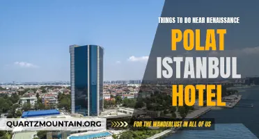 11 Fun Activities to Check Out Near Renaissance Polat Istanbul Hotel