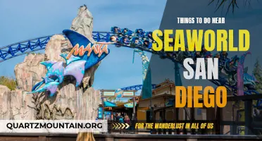 12 Exciting Activities to Experience Near SeaWorld San Diego