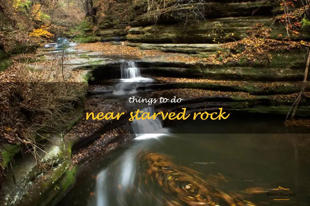 things to do near starved rock