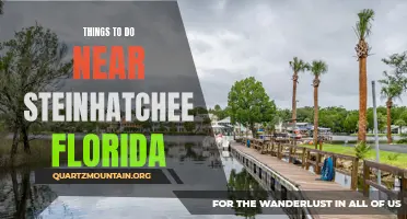 10 Exciting Outdoor Activities to Experience Near Steinhatchee, Florida