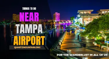 14 Fun Things to Do Near Tampa Airport