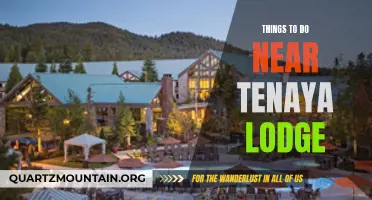 10 Exciting Things to Do Near Tenaya Lodge