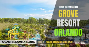 14 Amazing Things to Do Near the Grove Resort Orlando