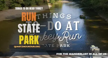 13 Exciting Activities to Do Near Turkey Run State Park