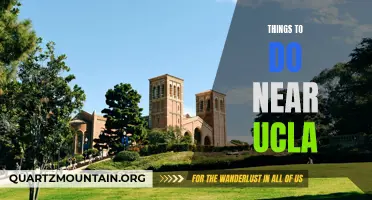 12 Amazing Things to Do Near UCLA