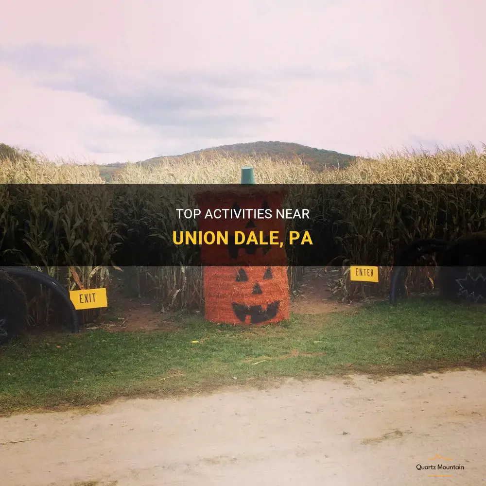 things to do near union dale pa