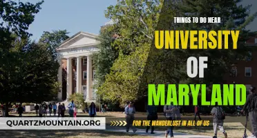 10 Exciting Things to Do Near the University of Maryland
