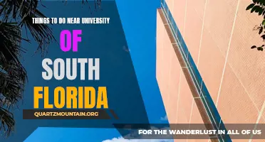 14 Must-See Attractions Near University of South Florida