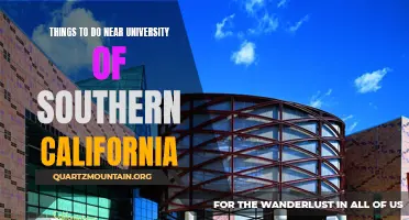 12 Exciting Activities Near the University of Southern California.