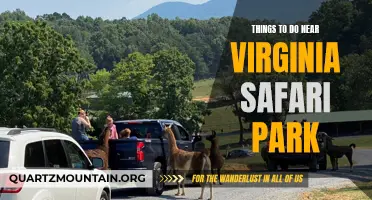 Exploring Nearby Attractions: A Guide to Activities near Virginia Safari Park
