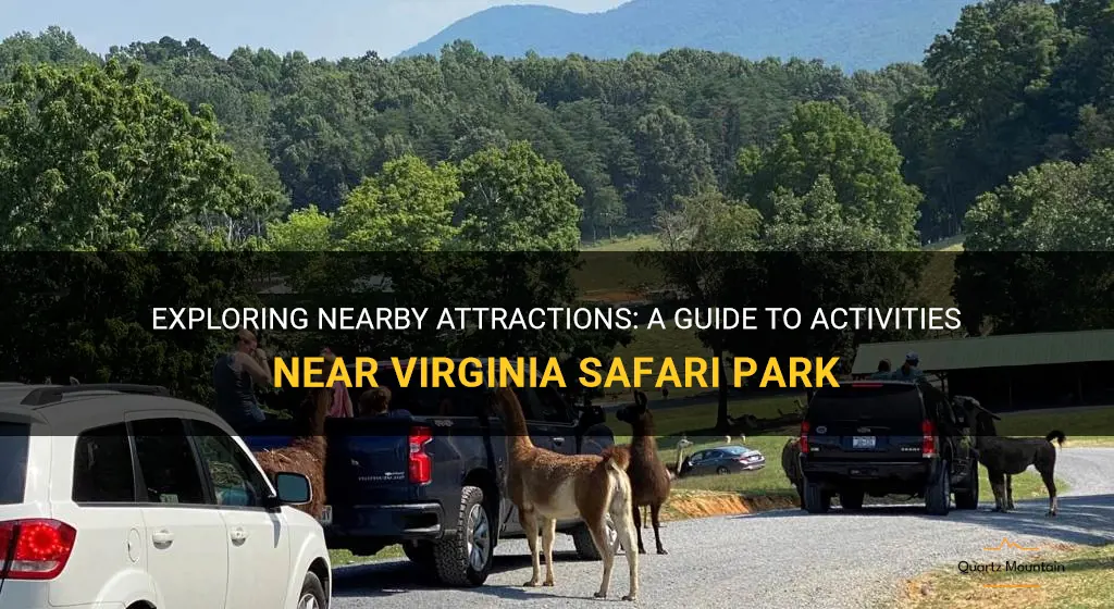 things to do near virginia safari park