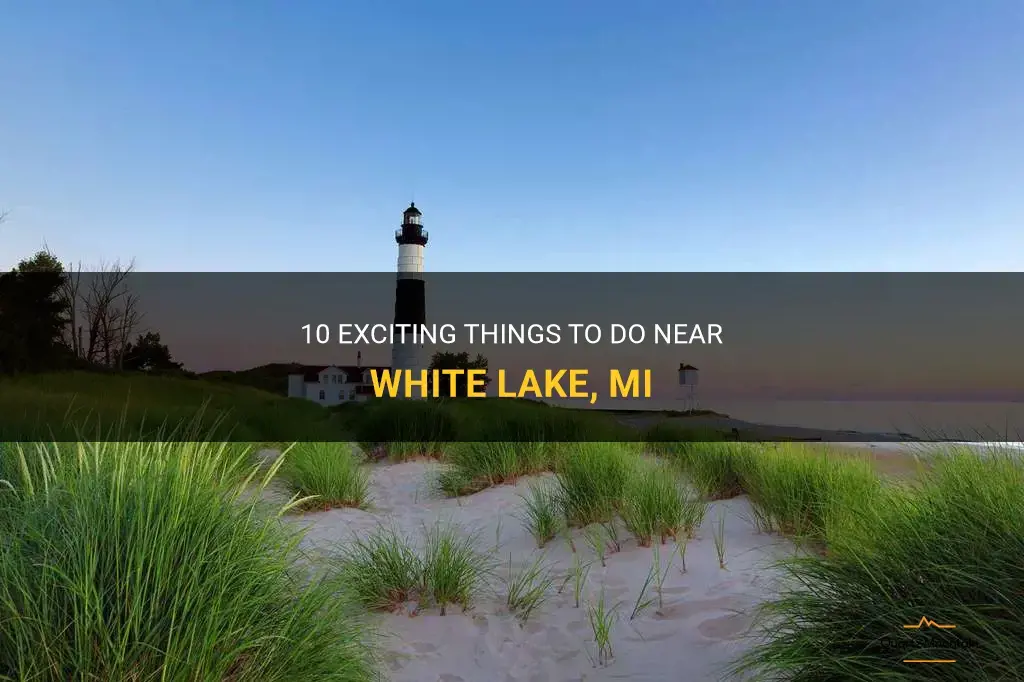 things to do near white lake mi
