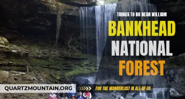 10 Fun Activities to Enjoy Near William Bankhead National Forest