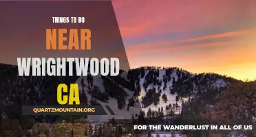 5 Fun and Exciting Things to Do Near Wrightwood, CA