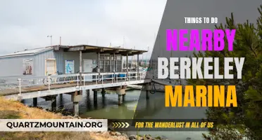 12 Exciting Activities Near Berkeley Marina