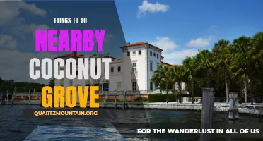 14 Awesome Activities to TryNearby Coconut Grove