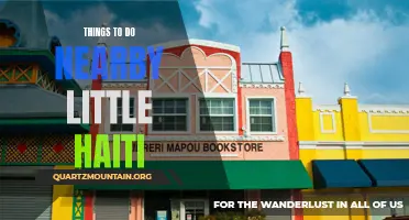 13 Fun-Filled Things to Do Near Little Haiti