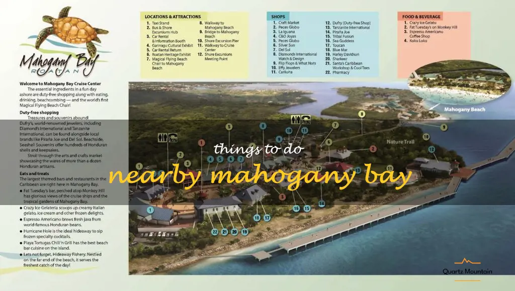 things to do nearby mahogany bay