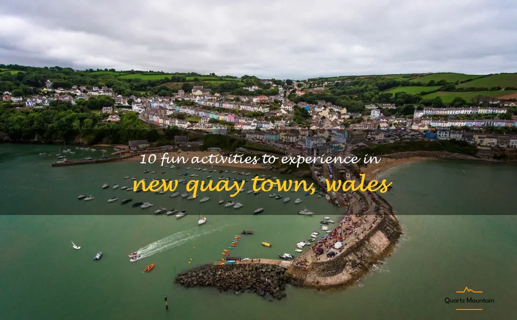 things to do new quay town in Wales