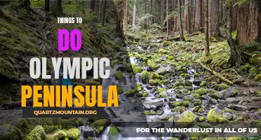 14 Life-Changing Things to Do on the Olympic Peninsula