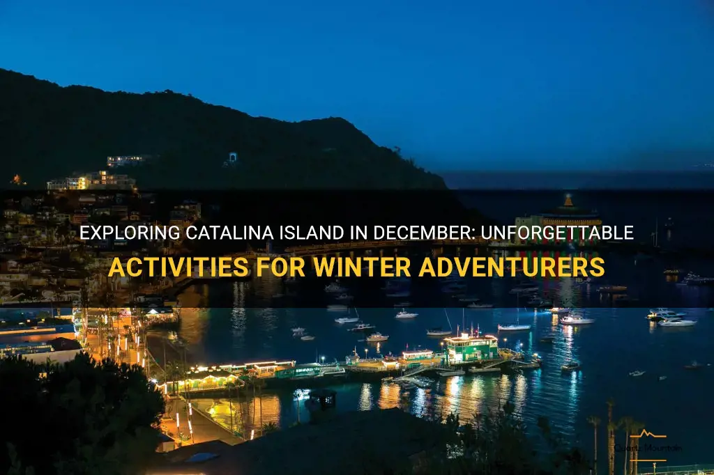 things to do on catalina island in december