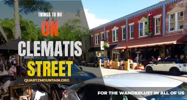 12 Awesome Activities to Experience on Clematis Street