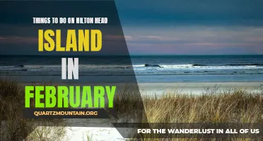 Top 10 Activities to Enjoy on Hilton Head Island in February