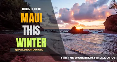 12 Top Activities to Enjoy on Maui this Winter