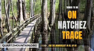10 Fun Activities to Experience on the Natchez Trace Parkway