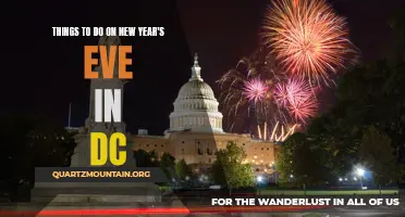 12 Exciting Activities for New Year's Eve in DC
