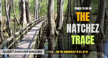 12 Must-Do Activities on the Natchez Trace