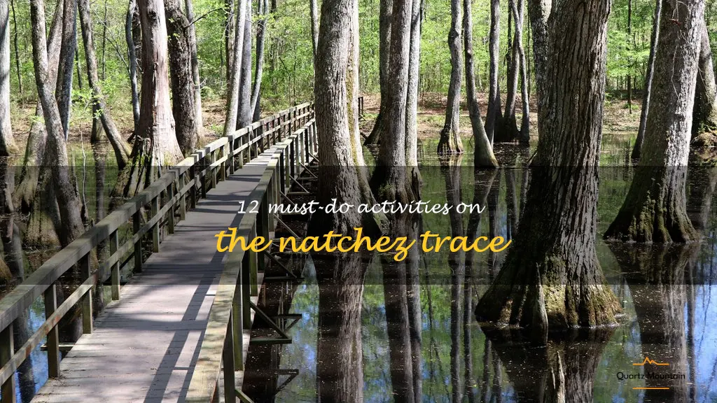 things to do on the natchez trace