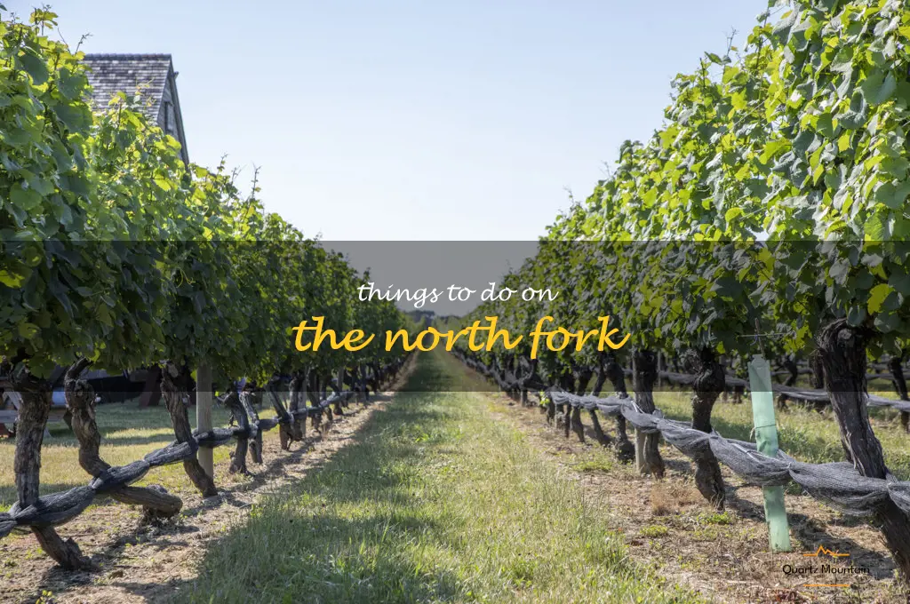 things to do on the north fork