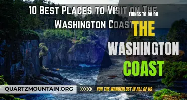 Exploring the Wonders of the Washington Coast