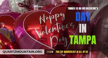 14 Fun and Romantic Things to Do on Valentine's Day in Tampa