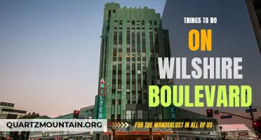 Exploring Wilshire Boulevard: A Guide to the Best Activities and Attractions