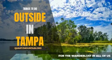 13 Fun Things to Do Outdoors in Tampa