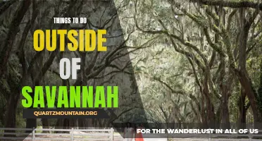 12 Great Outdoor Activities to Explore Near Savannah