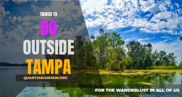 10 Adventurous Activities to Try Outside Tampa