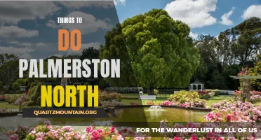 11 Fun Activities to Explore in Palmerston North