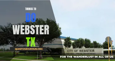 14 Fun Things to Do in Webster, TX