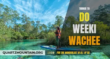 13 Fun Things to Do in Weeki Wachee, Florida