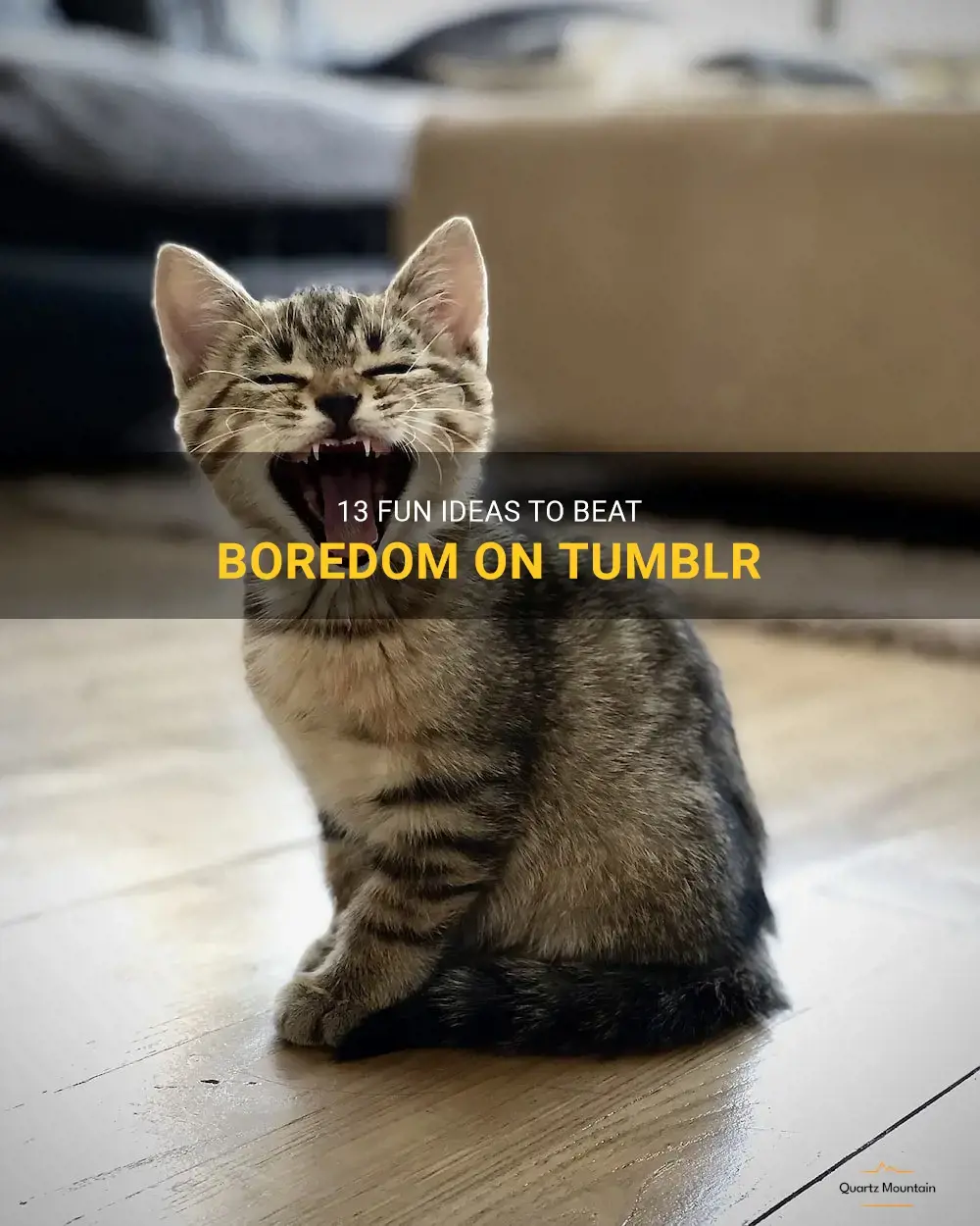 things to do when bored tumblr