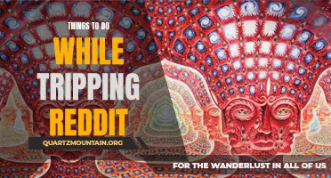13 Fun Activities to Try While Tripping Reddit