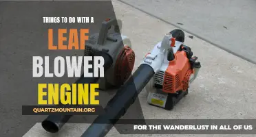 13 Fun Ways to Use a Leaf Blower Engine Beyond Just Clearing Leaves
