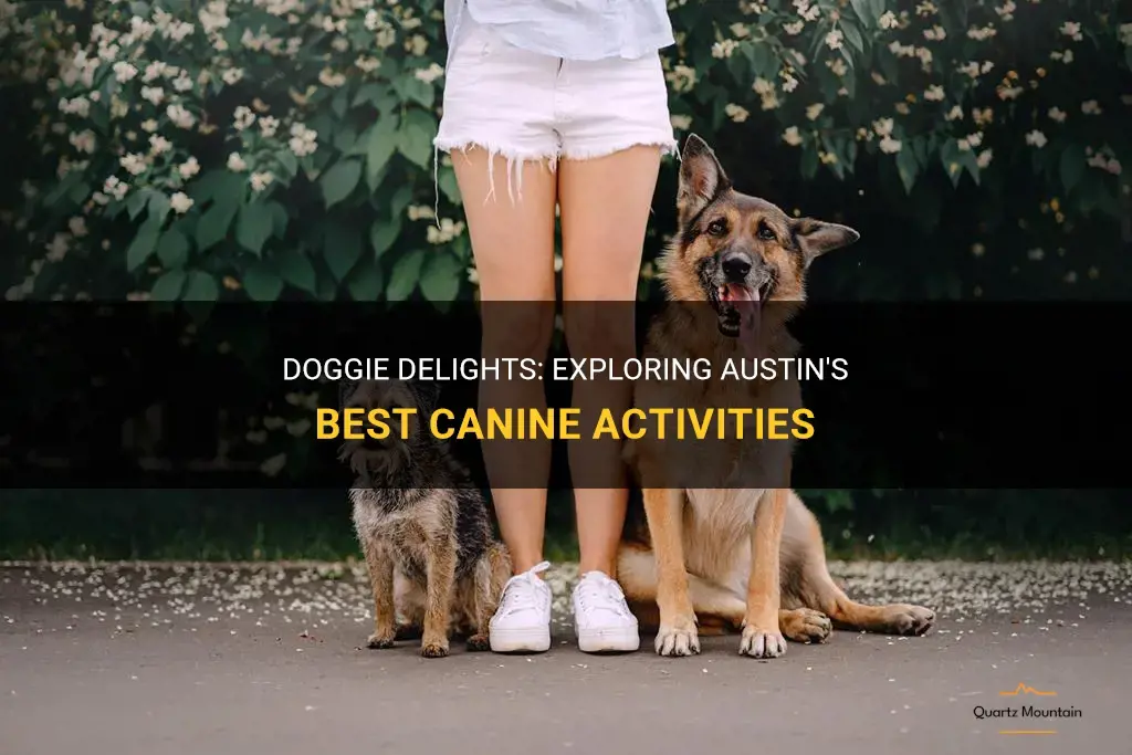 things to do with dogs in austin