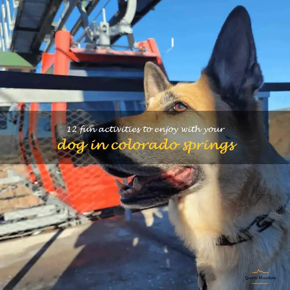 things to do with dogs in colorado springs