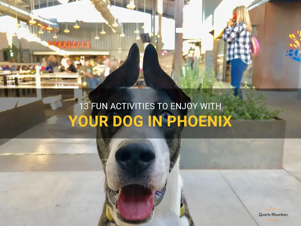 things to do with dogs in phoenix