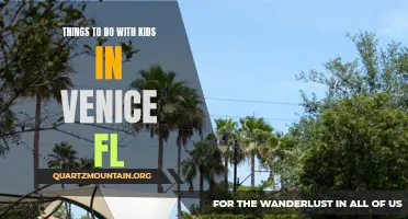 8 Fun and Kid-Friendly Activities to Do in Venice, FL