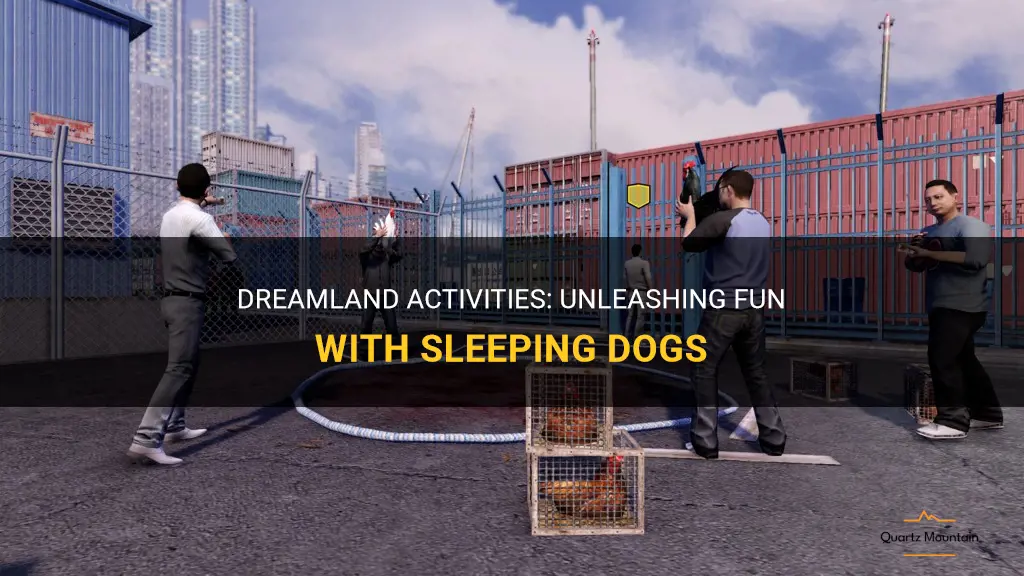 things to do with sleeping dogs
